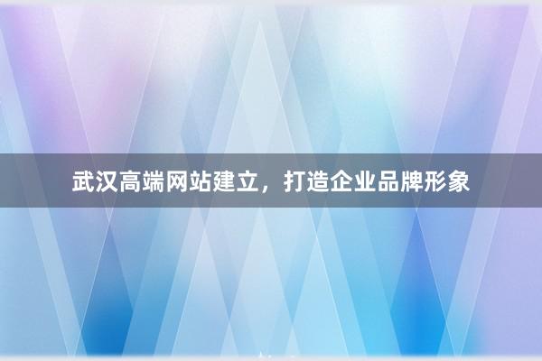 武汉高端网站建立，打造企业品牌形象